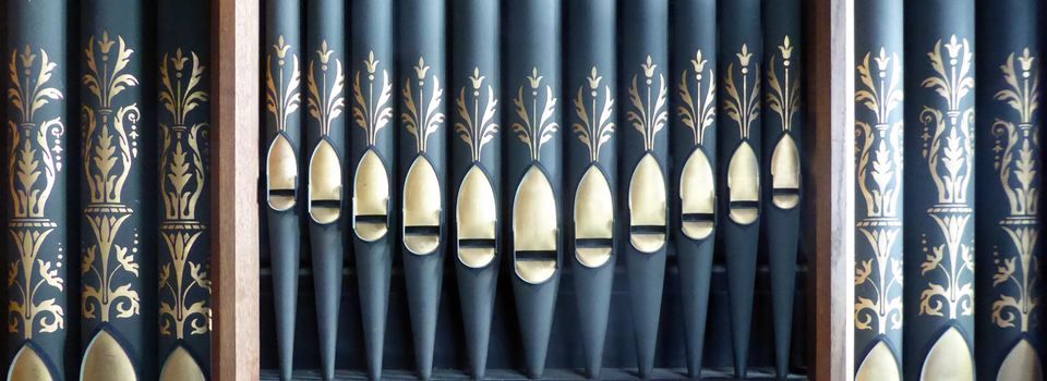 Organ Pipes